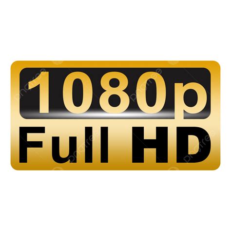 xxx 1080p|Hd 1080p Porn HD Videos for Free